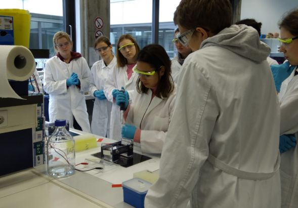 Die Teilnehmer des Landesseminars im MaxLab, darunter Hannah Weiß (2. v. li.) bei der Vorbereitung einer Gelelektrophorese. 