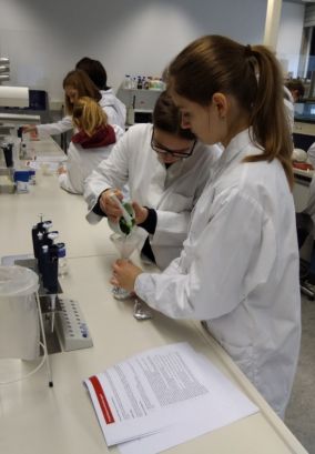 Nina Zistler und Hannah Weiß bei der Chlorophyll-Extraktion als Vorbereitung für die Dünnschichtchromatographie