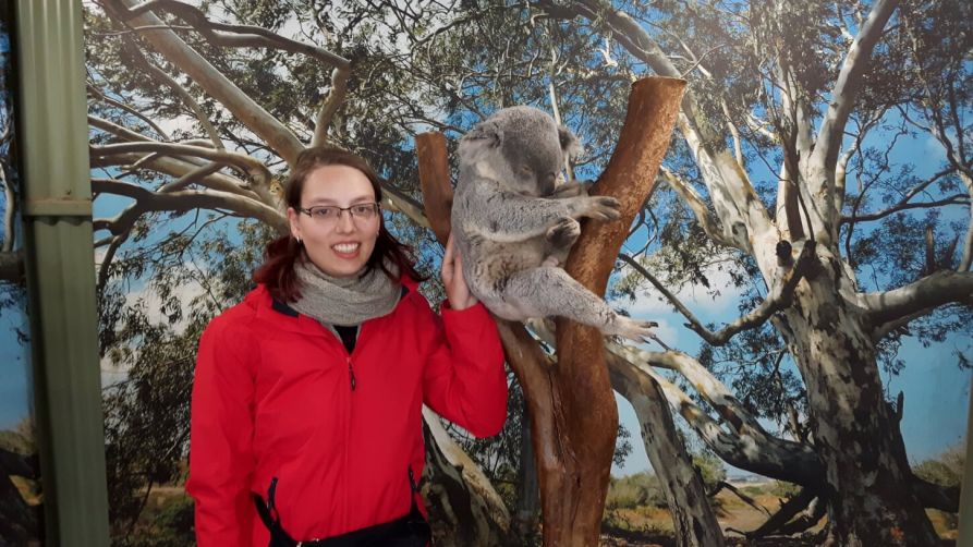 Ich streichle den flauschigen Koala.