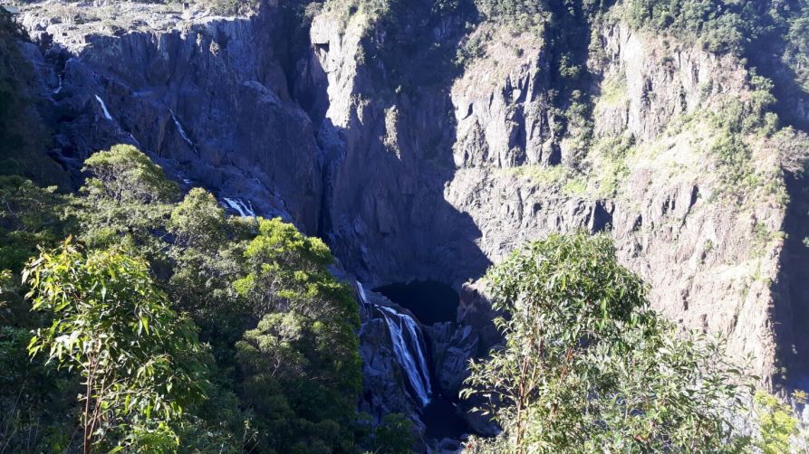 Barron Falls mitten im Regenwald