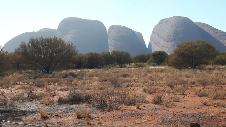 Kata Tjuta im Morgennebel