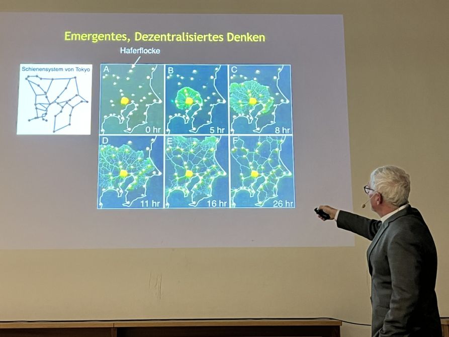 ... zum Thema Emergenz.
