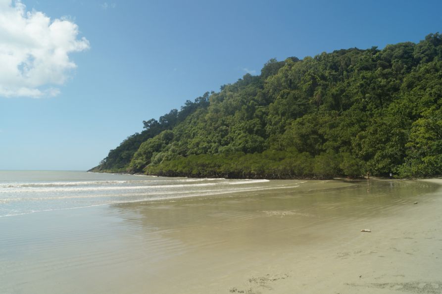 Cape Tribulation im Daintree National Park