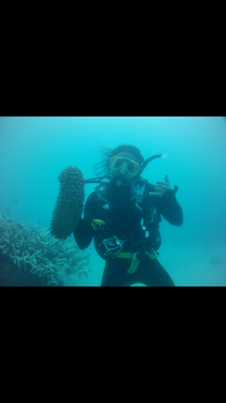 Tauchen am Great Barrier Reef