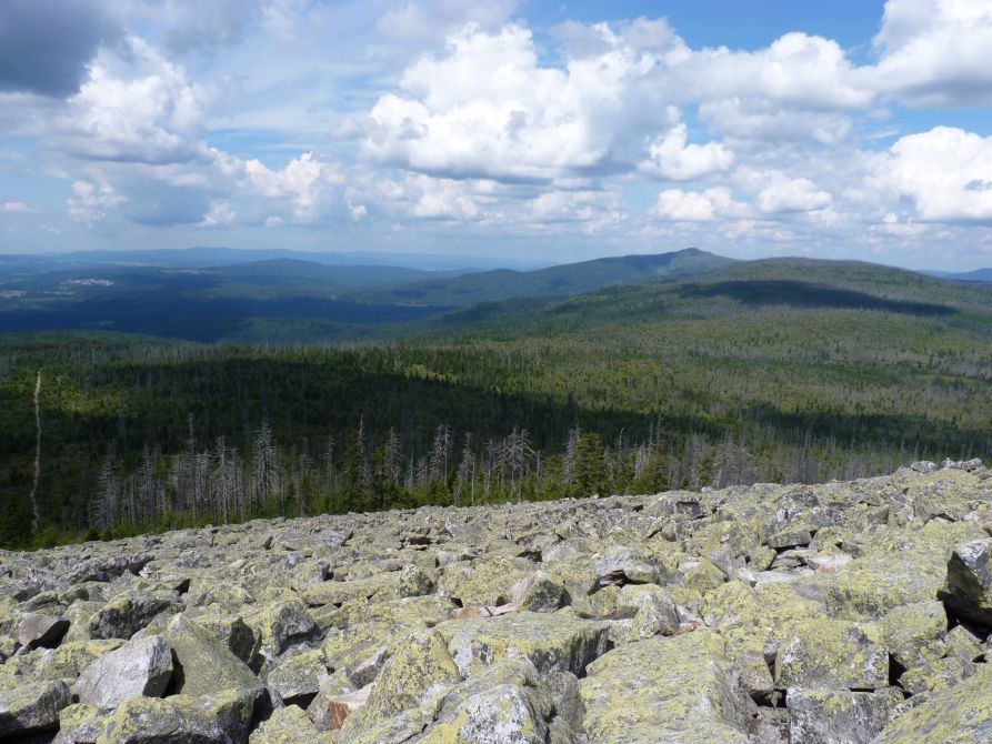 Ausblick vom Gipfel des Lusens im Nationalpark Bayerischer Wald, dem Ziel der alljährlichen, einwöchigen Exkursion der Biologie-W-Seminare