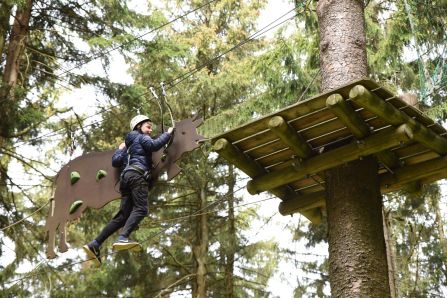 Schritt für Schritt an der Kletterkuh vorbei bis zur nächsten Plattform