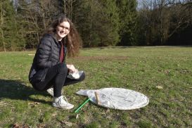Große Artenvielfalt am Waldrand