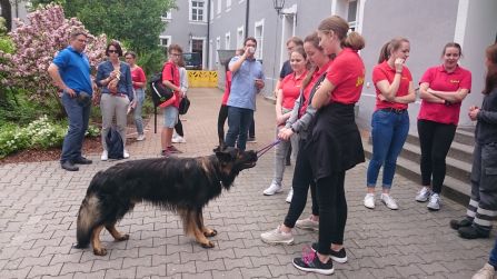 Auch die Hunde der Rettungshundestaffel Amberg waren vor Ort.