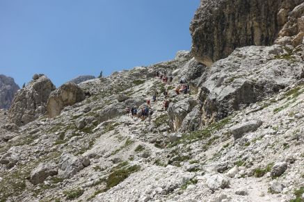 Ansturm im Rosengarten