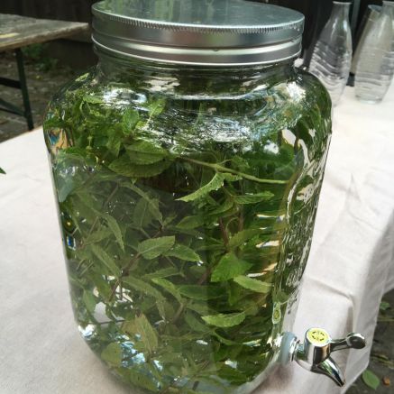 Minzwasser