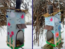 Vogelhäuschen-Challenge