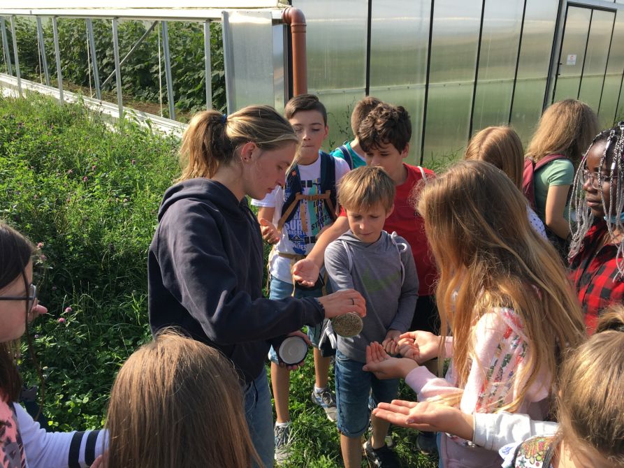 Roggen, Weizen und Dinkel schmecken wirklich unterschiedlich – die Kinder haben es getestet!