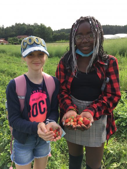 Ein paar Erdbeeren gibt es immer noch und sie schmecken wunderbar!