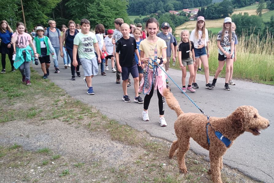 Auf einer Wanderung und bei der waldpädagogischen Einheit lernten die Schüler:innen viel über die heimische Tier- und Pflanzenwelt.
