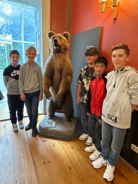 Gruppenbild mit Braunbär