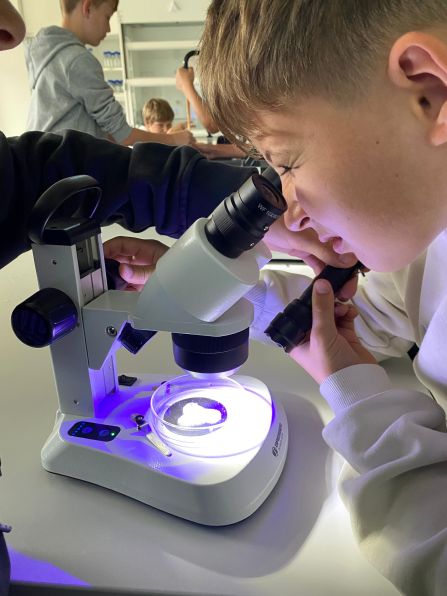 Mikroskopie unter Fluoreszenzlicht