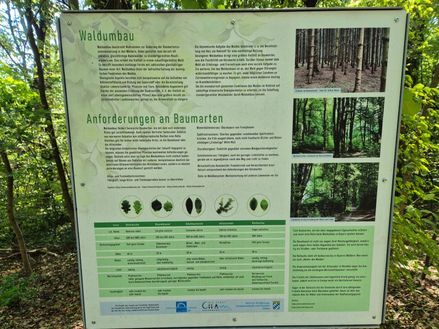 Sieben Schautafeln wurden im Stadtwald angebracht (Foto: Josef Fischer)