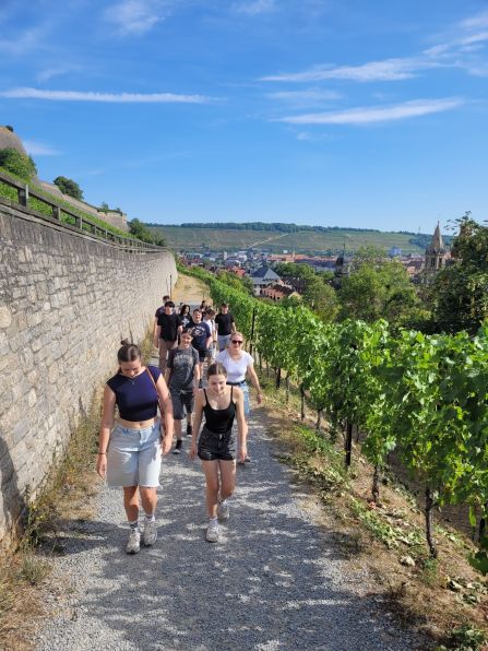 Unterwegs in den Weinbergen