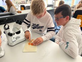 Bildung für Nachhaltige Entwicklung