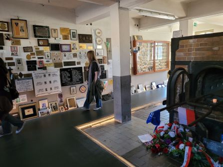 Mauthausen 3